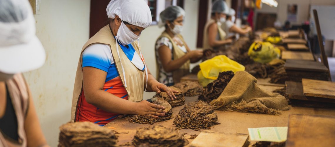 Kode KBLI Industri Pengolahan Tembakau dalam Sistem OSS